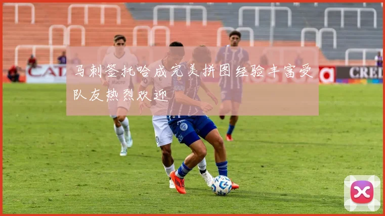马刺签托哈成完美拼图经验丰富受队友热烈欢迎